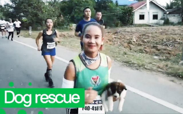A Woman Ran 19 Miles of a Marathon While Carrying a Lost Puppy