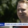 A Drunk Guy Called an Uber to Save an Injured Bird