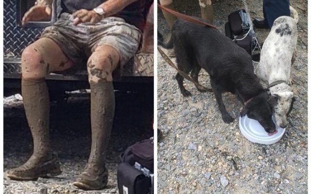 An 87-Year-Old Gets Stuck in Knee-Deep Mud, and His Dogs Save Him