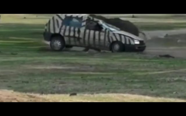 An Angry Rhino Completely Destroys a Car