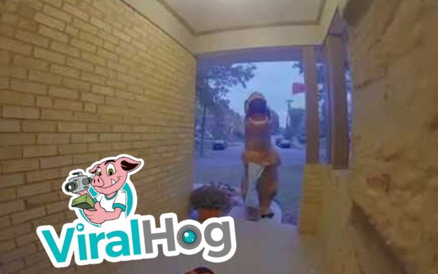 Trick-or-Treaters in T-Rex Costumes Politely Take Only One Piece of Candy