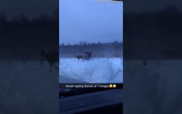 A Horse and Buggy Doing Donuts in the Snow
