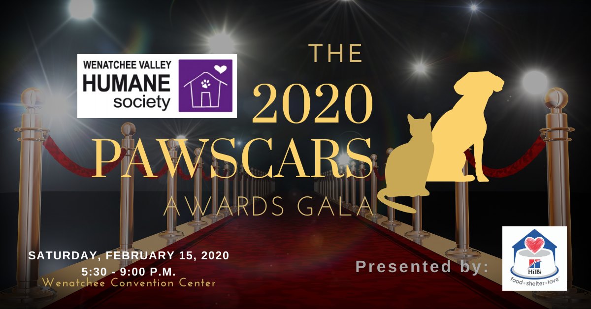 <h1 class="tribe-events-single-event-title">The 2020 Pawscars Awards Gala</h1>