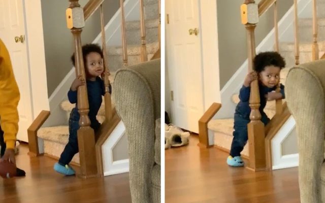 A Toddler Gets His Head Stuck in the Stairs, Twice