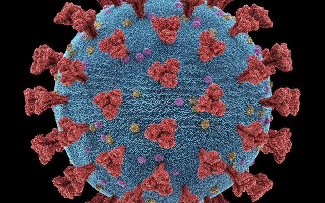 Coronavirus Insanity: Autocorrect Turns “Swabbing” into “Stabbing,” and the Police Swarm