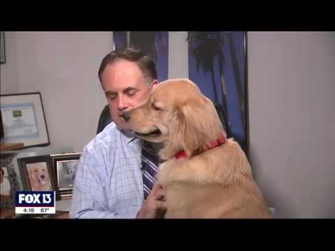 A Meteorologist’s Weather Forecast at Home Is Interrupted By His Dog