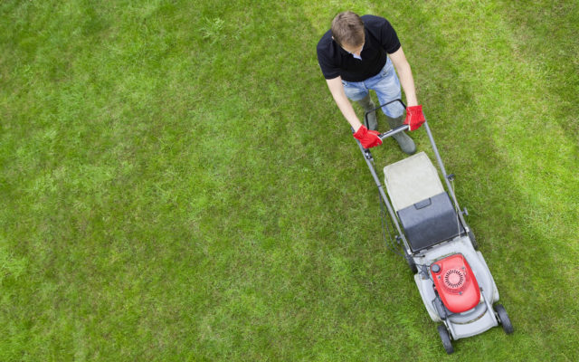 Here’s How to Get Those Satisfying Stripes When Mowing Your Lawn