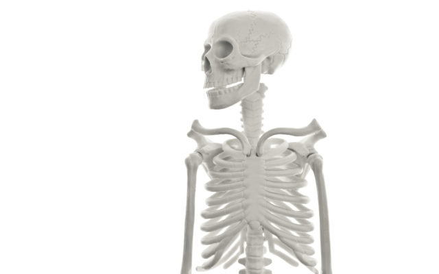 The Best Halloween Decoration of the Year Is a 12-Foot Skeleton from Home Depot