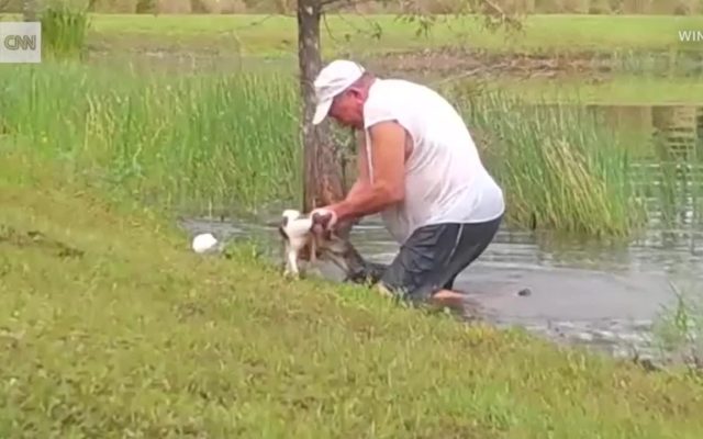A Man Rescues His Dog From the Jaws of an Alligator
