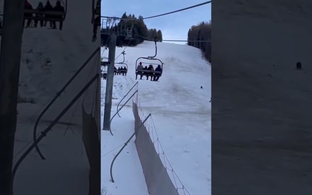 Watch a Bear Chase a Skier Down the Slope