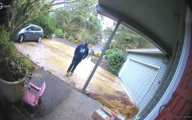 A Porch Pirate Gets Caught, and Stumbles Through an Obvious Lie