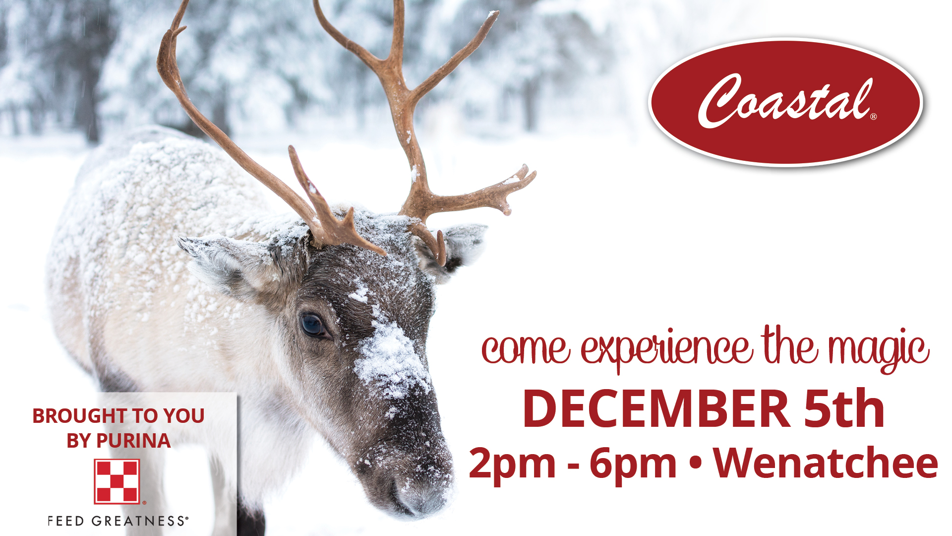 <h1 class="tribe-events-single-event-title">Christmas Reindeer Visit Wenatchee</h1>