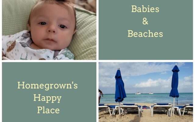 Homegrown Recap: December 29, 2021 – Babies, Beaches & Broken Resolutions