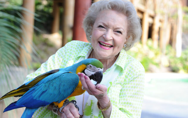 Check Out Some Weird, Random Possessions of Betty White’s That Are on the Auction Block