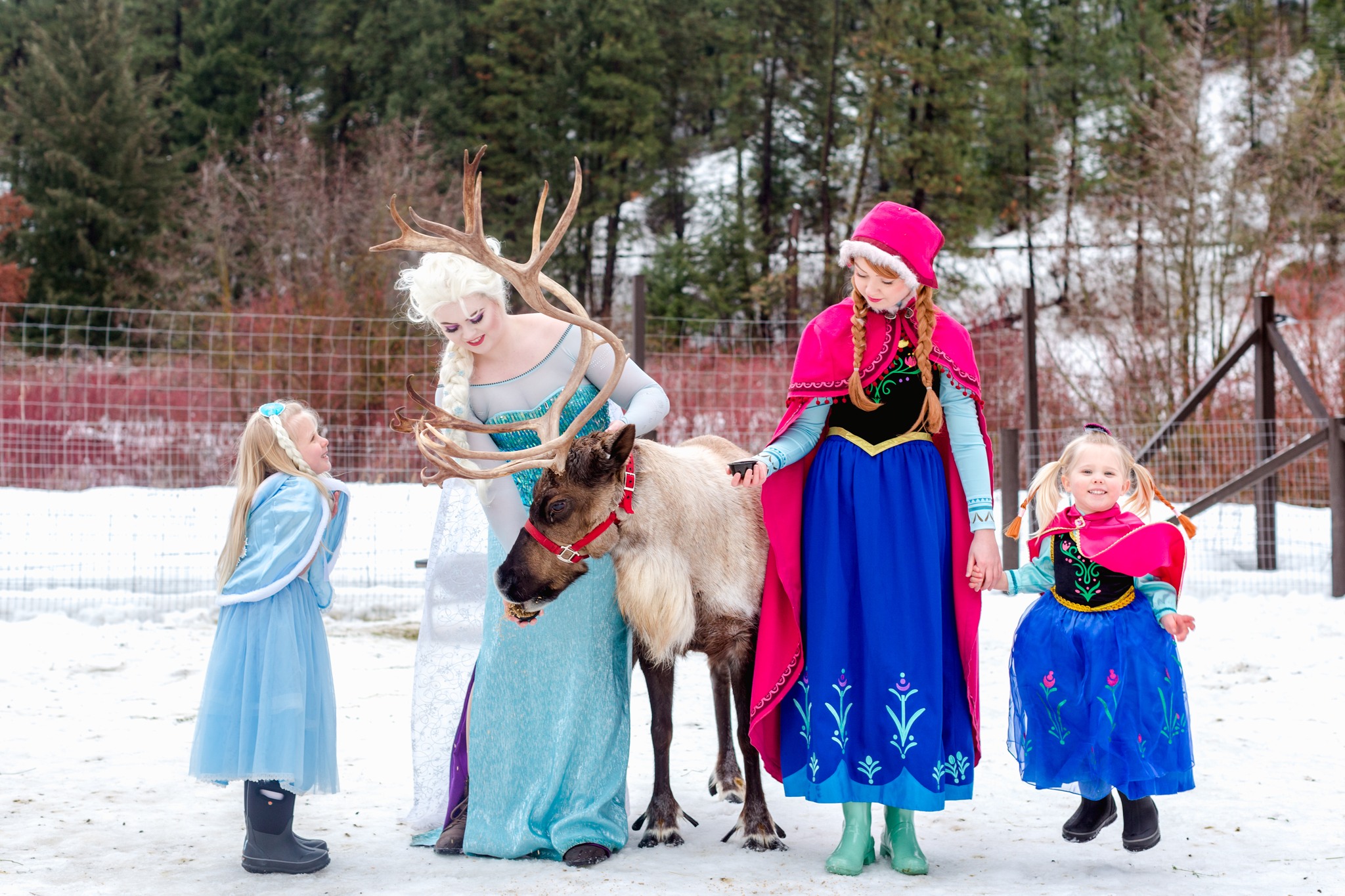 <h1 class="tribe-events-single-event-title">Get Frozen at the Farm! Character Meet & Greet + Reindeer Experience</h1>