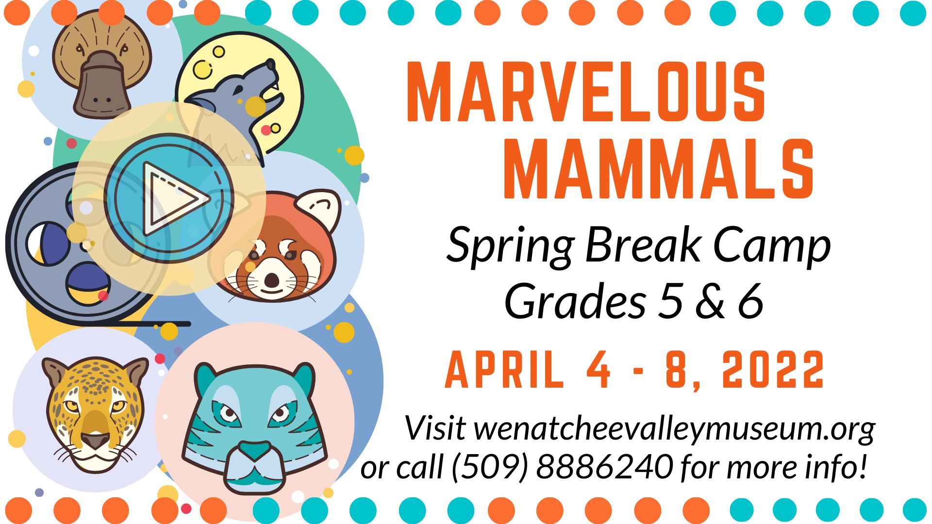 <h1 class="tribe-events-single-event-title">Spring Break Camp: Marvelous Mammals</h1>