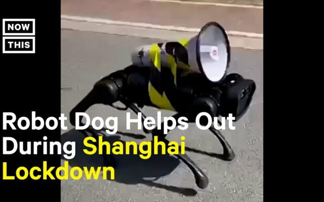 Is This Chinese Robot Dog Cool, or Creepy?