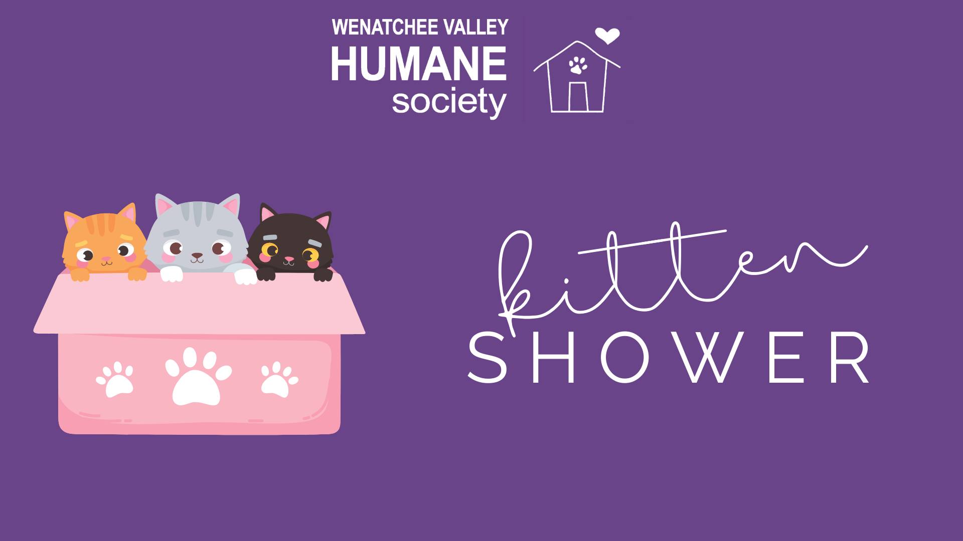 <h1 class="tribe-events-single-event-title">Kitten Shower</h1>
