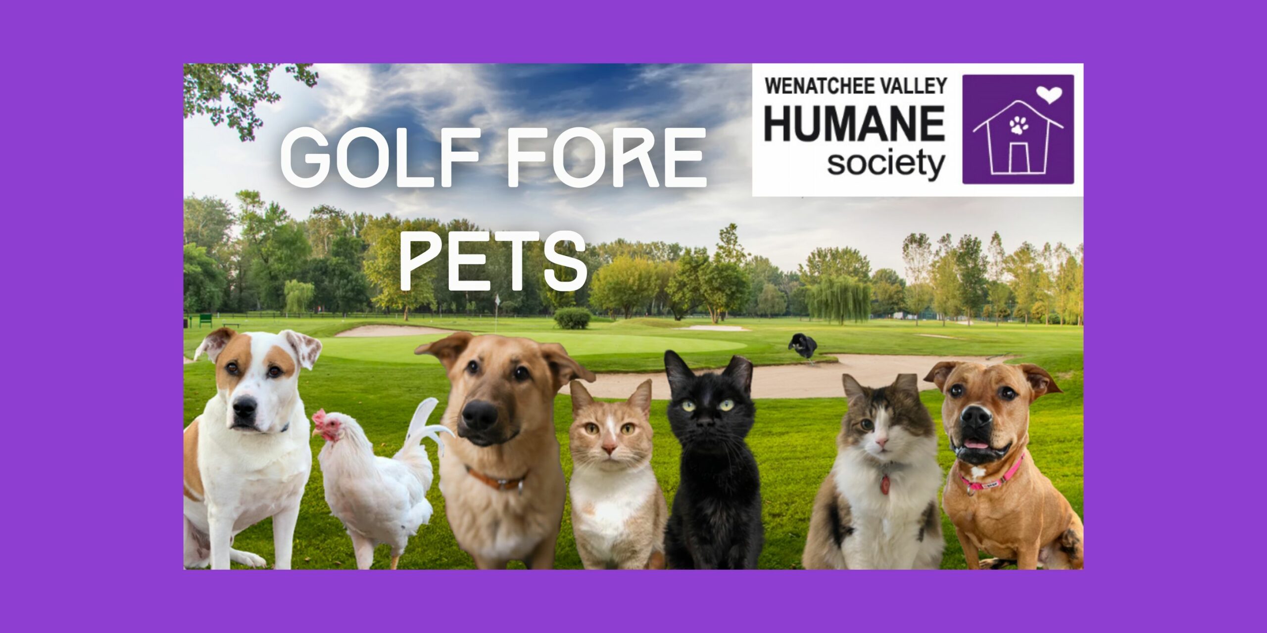 <h1 class="tribe-events-single-event-title">Golf Fore Pets</h1>