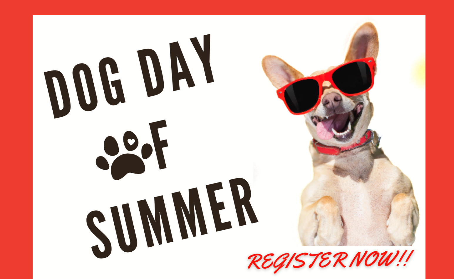<h1 class="tribe-events-single-event-title">Dog Day of Summer</h1>