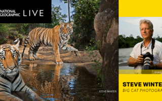 National Geographic Speaker Series: Steve Winter