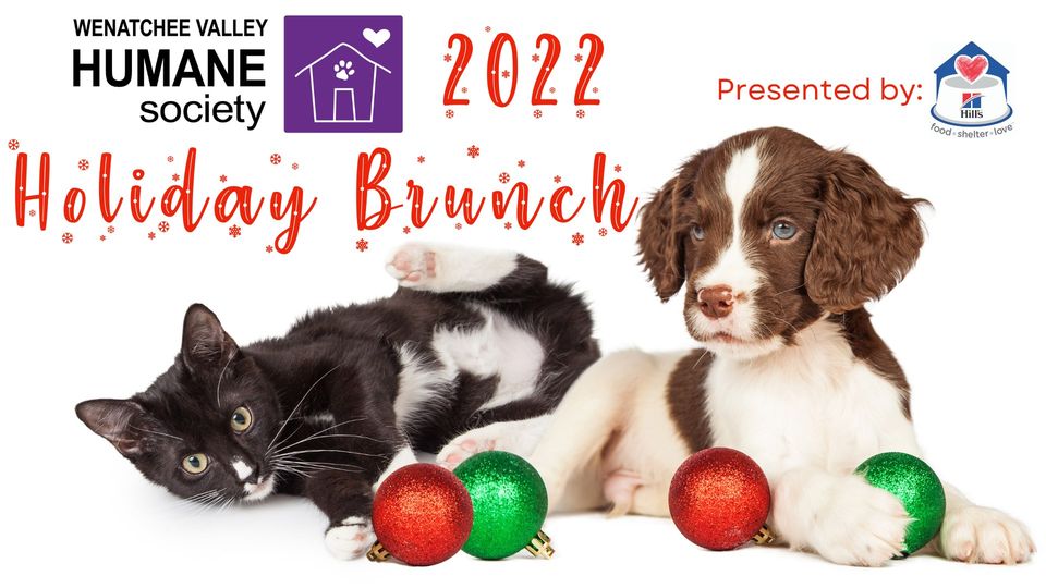 <h1 class="tribe-events-single-event-title">WVHS Holiday Brunch 2022</h1>