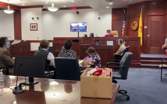 Boy at Adoption Hearing Tells Judge How Much He Loves His Mom