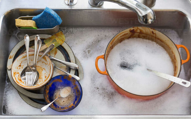 The Average Dirty Dish Sits in the Sink for a Day and a Half