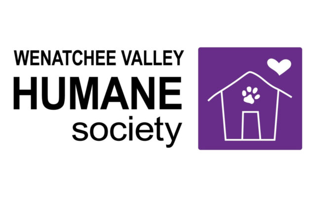 Brent chats with Wenatchee Humane Society’s Dr. B