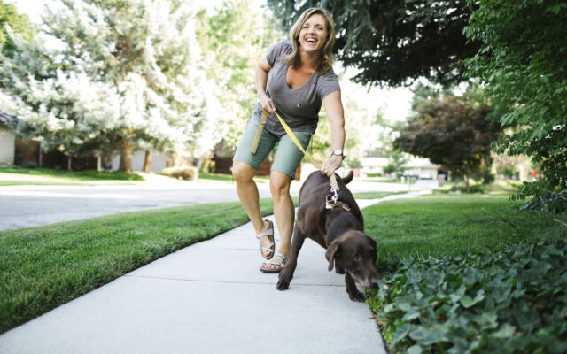 The Number of Dog-Walking Injuries Has Quadrupled in the Past 20 Years