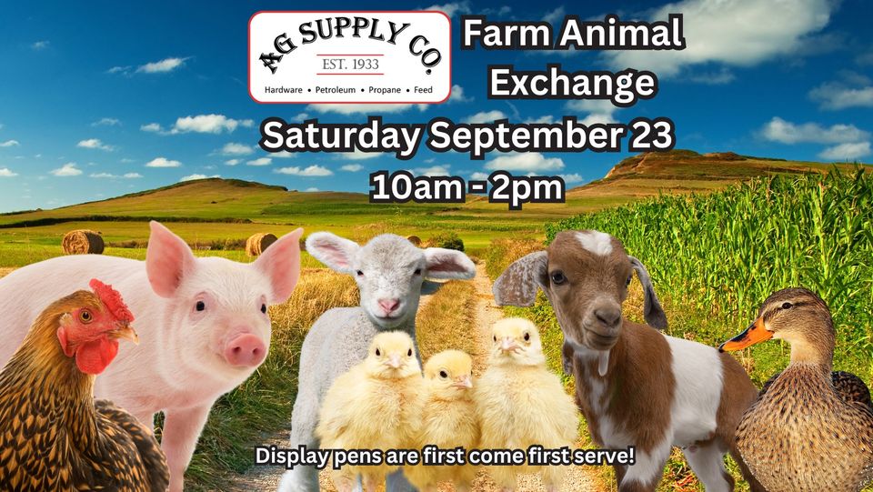 <h1 class="tribe-events-single-event-title">AG Supply Farm Animal Exchange</h1>