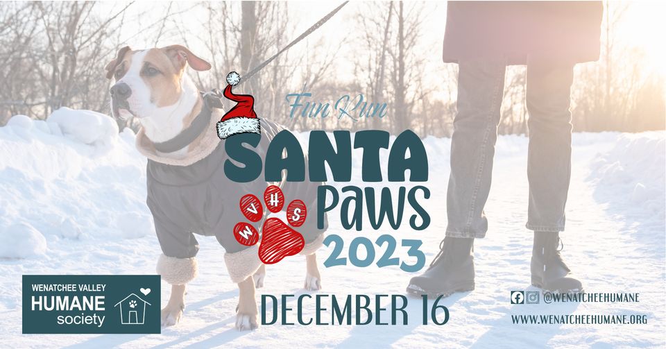 <h1 class="tribe-events-single-event-title">Santa Paws 5k/2k</h1>