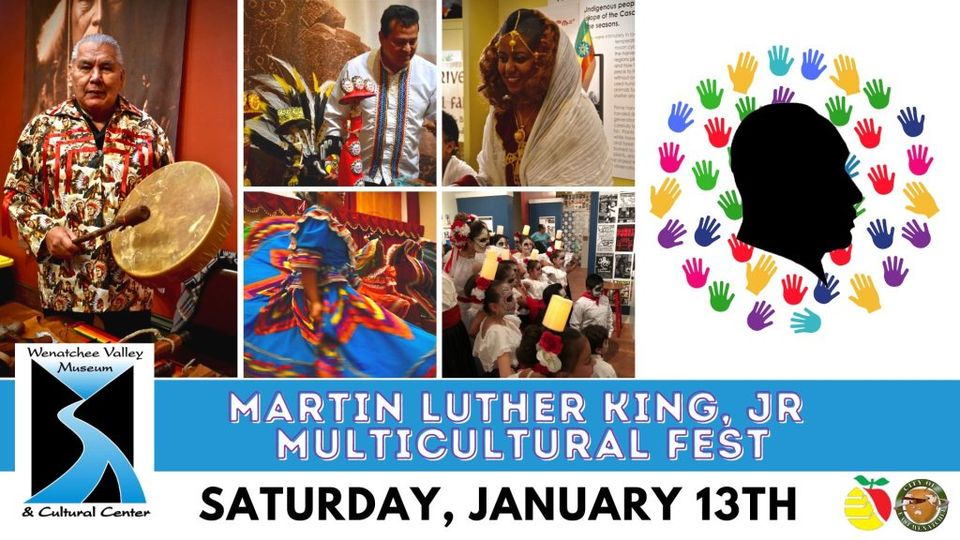 <h1 class="tribe-events-single-event-title">Martin Luther King Jr. Multicultural Fest</h1>
