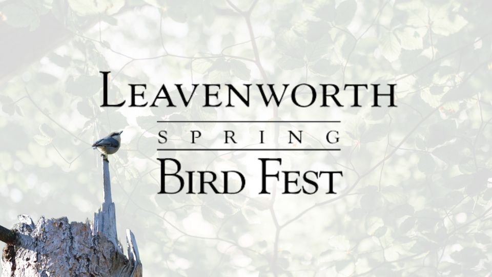 <h1 class="tribe-events-single-event-title">2024 Leavenworth Spring Bird Fest</h1>